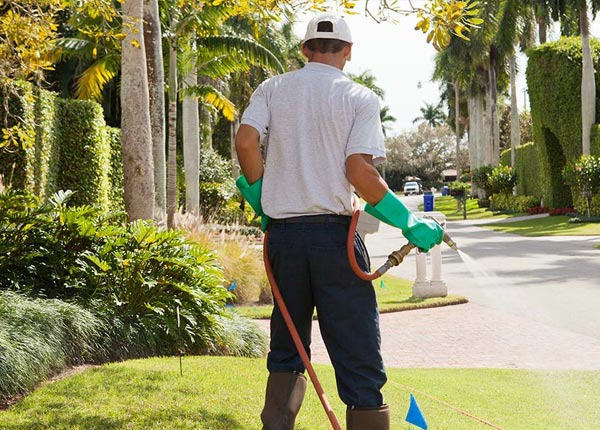 About Christoval TX Pest Control